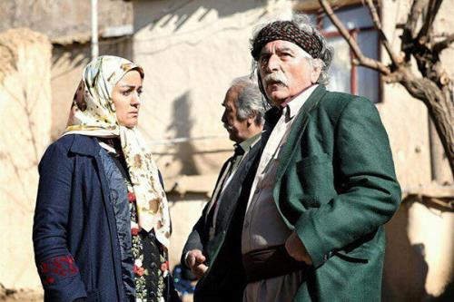 گاوی كه رقیب عشقی من شد!