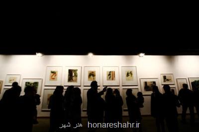 نمایشگاهی از آثار هنرمندان افغانستانی