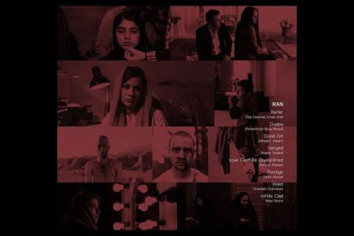 نمایش ۸ فیلم کوتاه ایرانی در جشنواره اتریشی