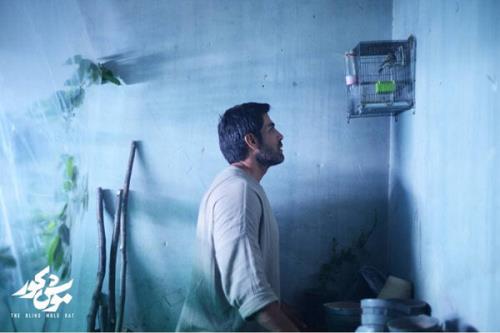 تصویربرداری موش کور به پایان رسید