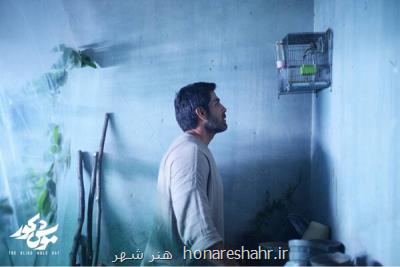 تصویربرداری موش کور به پایان رسید