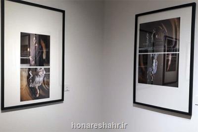 نمایش آثاری آغشته به ذهن مریض هنرمند و سکوت اداره کل تجسمی