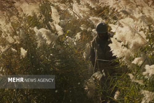 نوشابه مشکی و ۱۰سالگی آماده نمایش شد