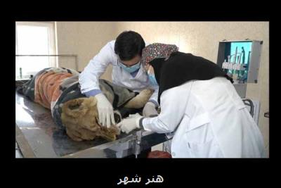 پناه جان به شبکه مستند آمد