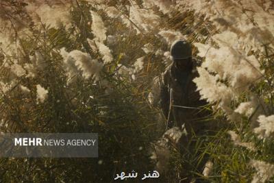 نوشابه مشکی و ۱۰سالگی آماده نمایش شد