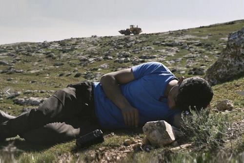 ۶۰۰ چهره هنری جلوگیری از نمایش فیلم فلسطینی در میامی را محکوم کردند