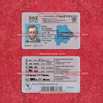 Belgium Driver Licence Fake Template