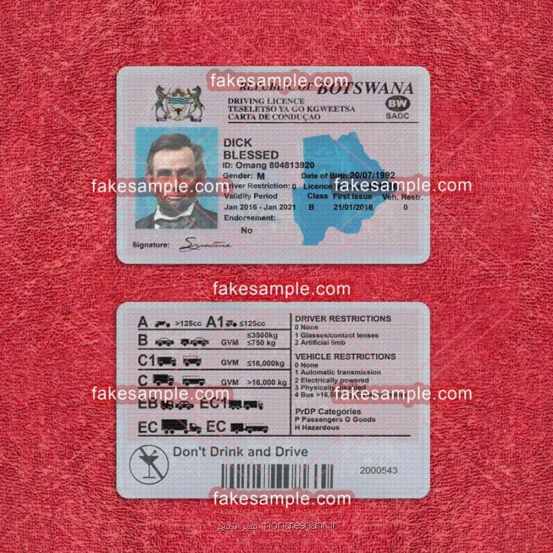 Belgium Driver Licence Fake Template