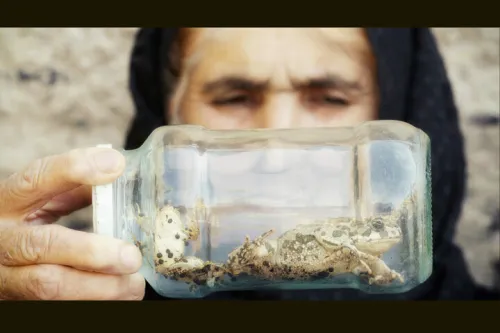 همزیستی 4 ساله با لک لک ها چه طور فیلم مستند را برای مخاطب جذاب کنیم؟