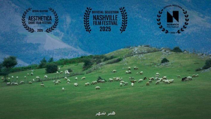 حضور گوسفند در جشنواره های آمریکایی و انگلیسی