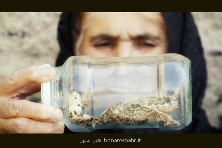 همزیستی 4 ساله با لک لک ها چه طور فیلم مستند را برای مخاطب جذاب کنیم؟