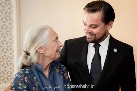 لئوناردو دی كاپریو در خیریه پشتیبانی از شامپانزه ها شركت كرد