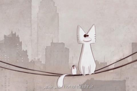 هیچكس به ۳ جشنواره جهانی می رود، گربه سفید در شهر سیاه ها