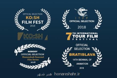 دعوت ۴ جشنواره خارجی از گربه سفید ایرانی