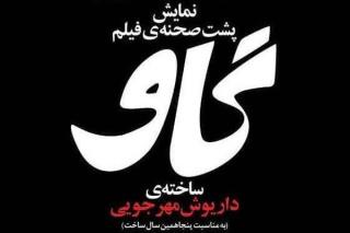 پشت صحنه فیلم گاو در كانون فیلم خانه سینما