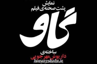 پشت صحنه فیلم گاو در كانون فیلم خانه سینما