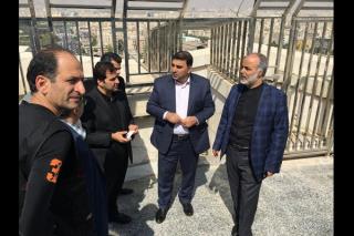 مدیر عامل جدید بنیاد رودكی از برج آزادی بازدید كرد