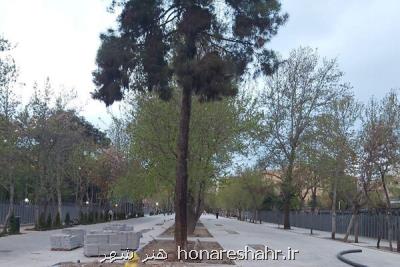 خیابان شهریار برای اتومبیل ها مسدود شد
